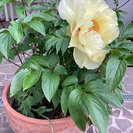 La Casona B&B San Michele all'Adige Ngoại thất bức ảnh